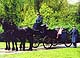 Klik her for at se billedet i stor st�rrelse
