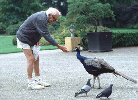 Klik her for at se artikelsiden